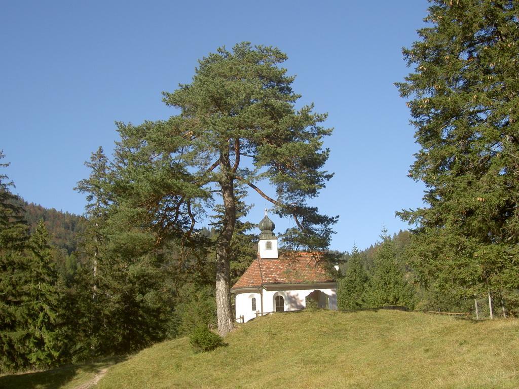 וולגאו Appartementhaus Alpenrose מראה חיצוני תמונה