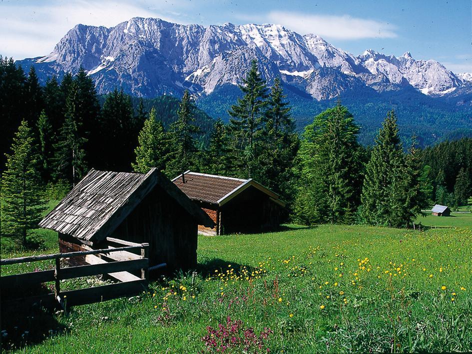 וולגאו Appartementhaus Alpenrose מראה חיצוני תמונה